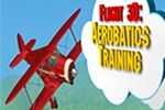 Aerobatics 3D Flight