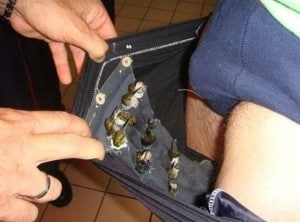 hummingbirds smuggler
