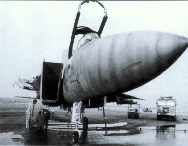 israeli_pilot_1983, f-15_one_wing